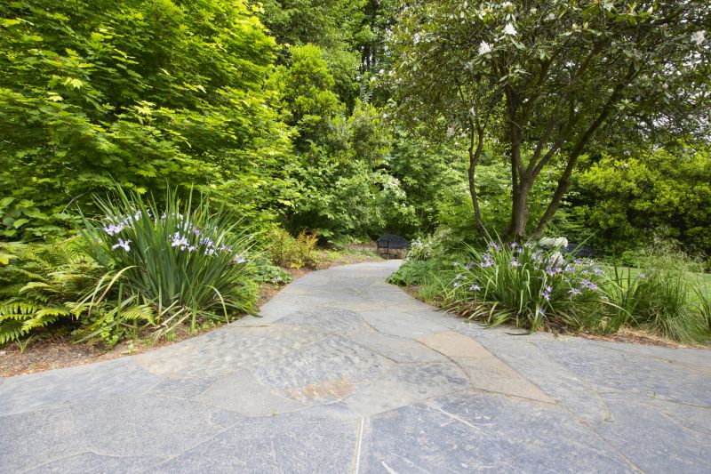 Paver Walkway